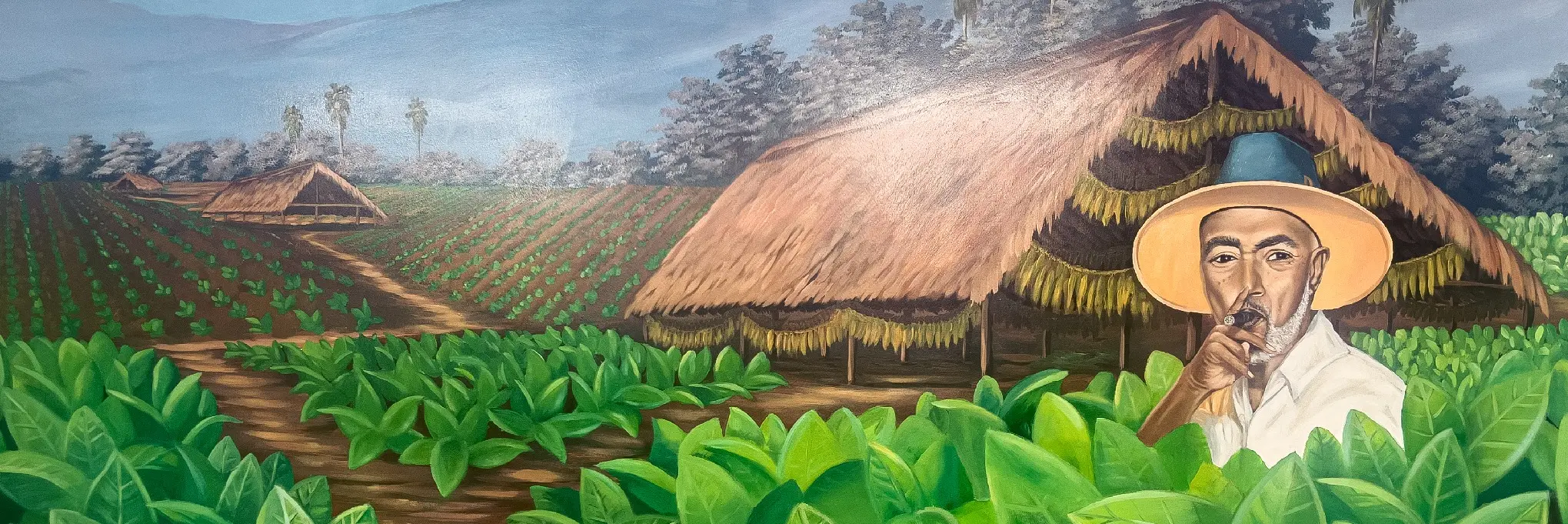 Mural de Don Américo entre plantaciones de tabaco