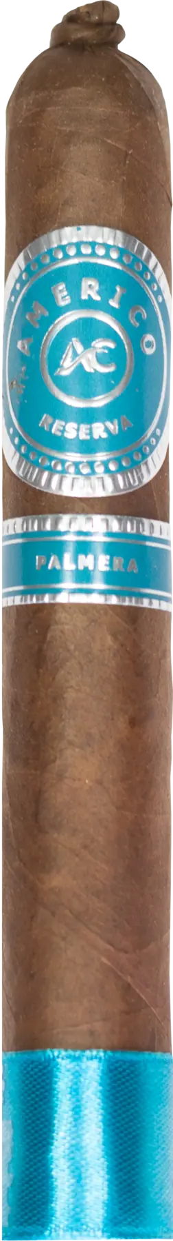 Palmera
